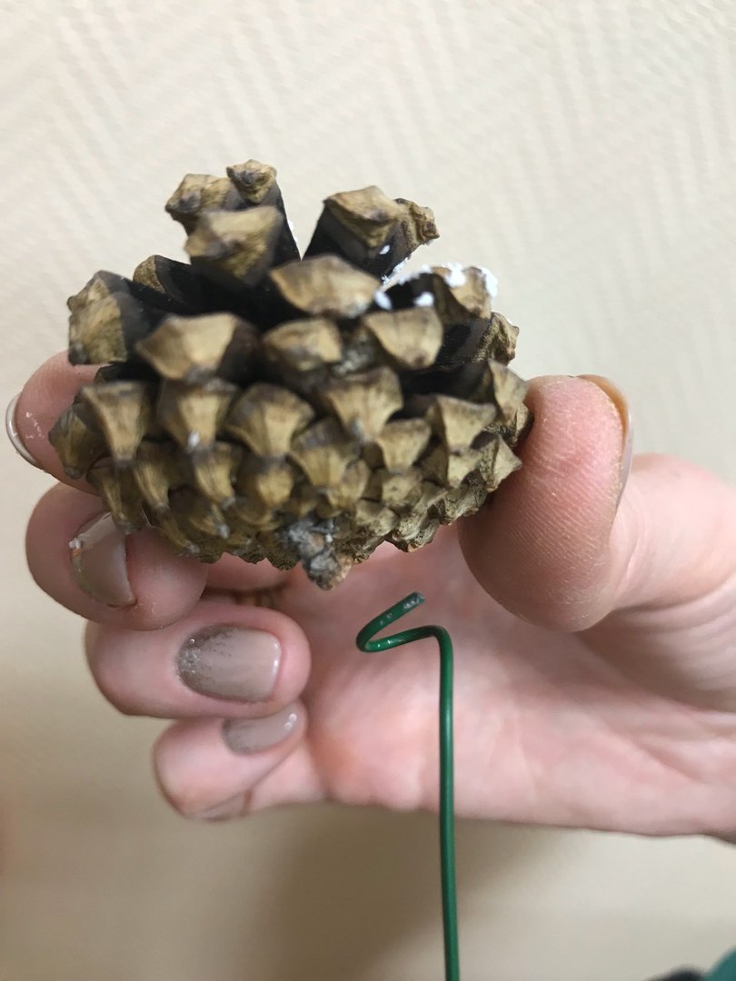 Мандариновый букет Krepim_provolku_k_shishke