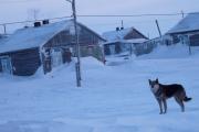 Декабрь в Усть-Каре начался с оттепели