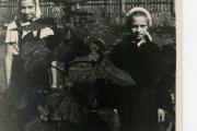 В Нарьян-Маре выращивали  даже подсолнух