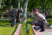 Нарьян-Мар украсят бархатцы, петунии, цинерарии и сальвии / Фото adm-nmar.ru