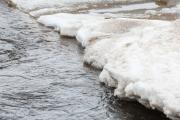 Печора освобождается ото льда / Фото Антона Тайбарея