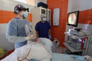 Кирилл Синицкий и Александр Сафонов проводят очередную эндоскопическую операцию / Фото автора