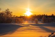 Солнце февраля / Фото Игоря Ибраева