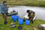 Местом нелегального лова белой рыбы стали в этот раз Вашуткины озера