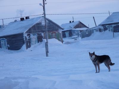 Декабрь в Усть-Каре начался с оттепели