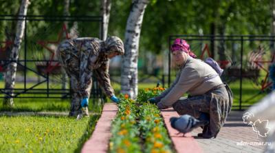 Нарьян-Мар украсят бархатцы, петунии, цинерарии и сальвии / Фото adm-nmar.ru