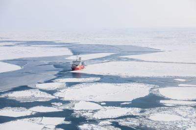 Развитию Арктики – особое внимание / Фото Екатерины Эстер