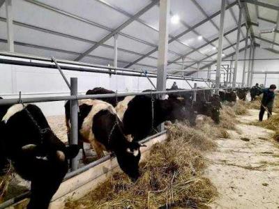 / Фото предоставлено прокуратурой