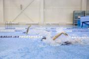 Лучше плавать, чем бегать / Фото алексея орлова