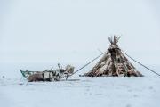 На встрече в Центре арктического туризма предприниматели, туристические компании и представители местного туркластера расскажут о лучших предложениях для путешественников / Фото Антона Тайбарея