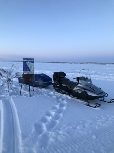 На Печоре установили мусорные баки / фото автора