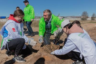 В день акции губернатор НАО Юрий Бездудный посадил деревца с молодёжью / Фото Александры Кустышевой