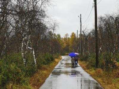 Осень жизни – это мудрость и тепло окружающих / Фото Инги Артеевой