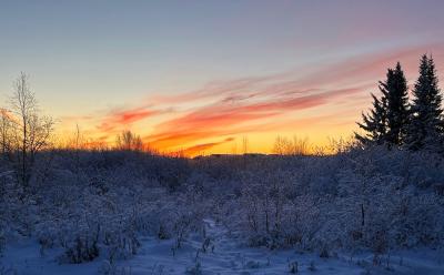 Заполярная зима / фото Ирины Сергеевой