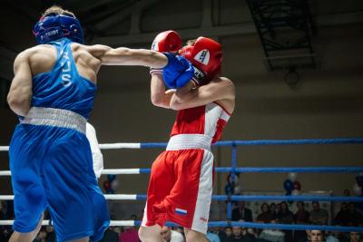 Эпизод Кубка губернатора по боксу, 2022 год / Фото Александры Берг